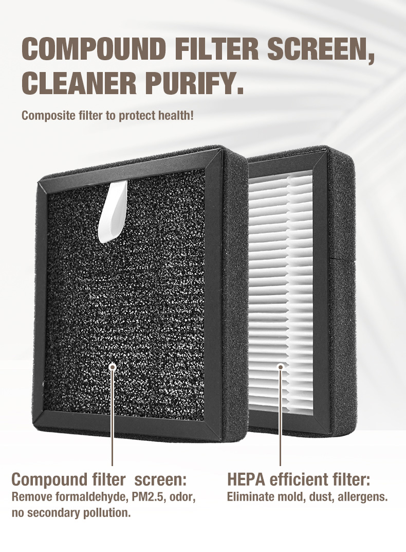 Olansi A1 Luftreiniger Lieferant (11)