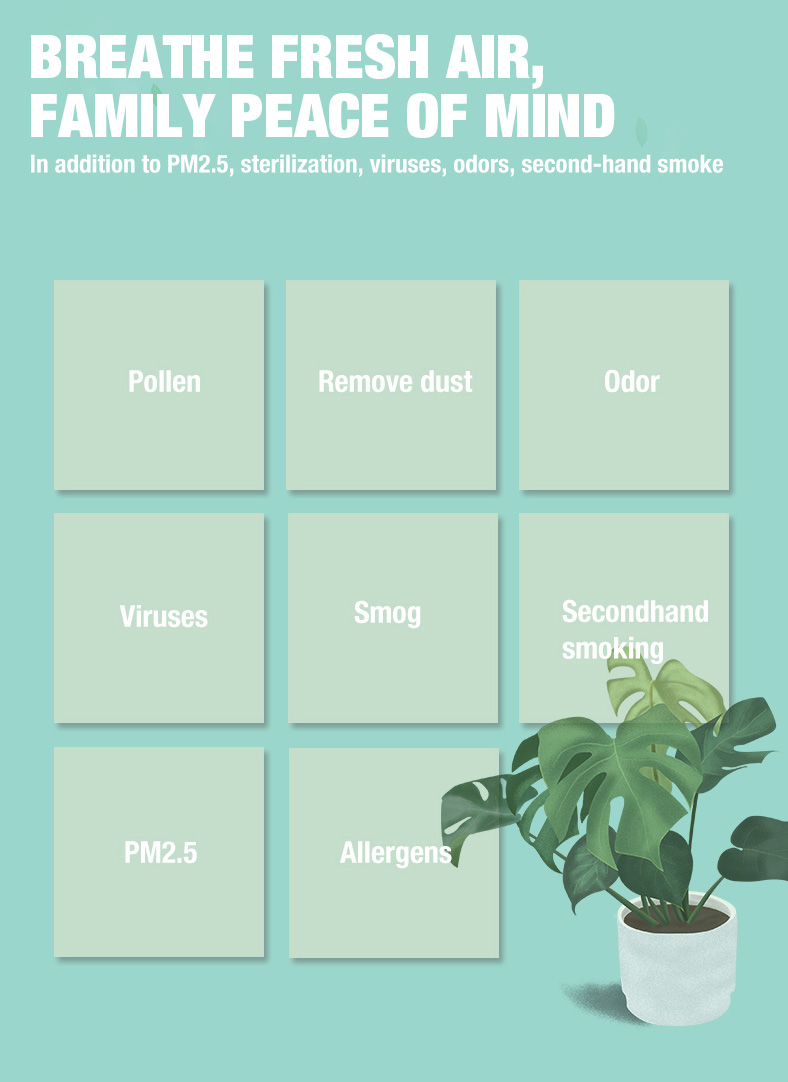 Olansi A4 Pro Desktop-Luftreiniger (3)