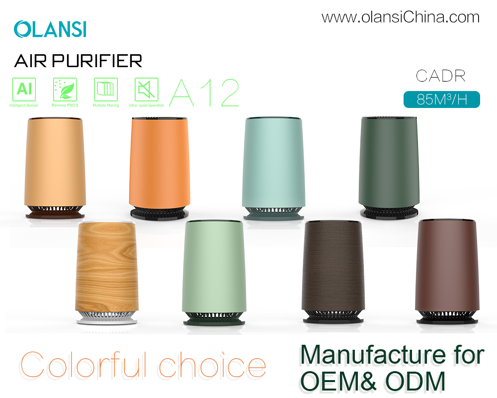 Olansi Luftreiniger Lieferanten (15)