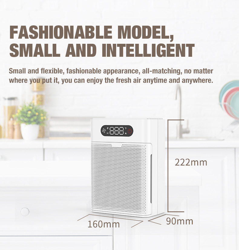 Olansi A1 Luftreiniger Lieferant (3)