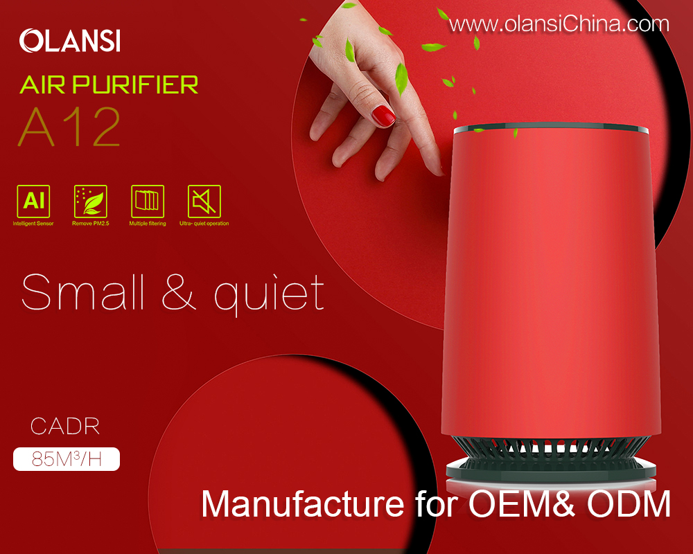 Olansi-Luftreiniger Lieferanten (13)