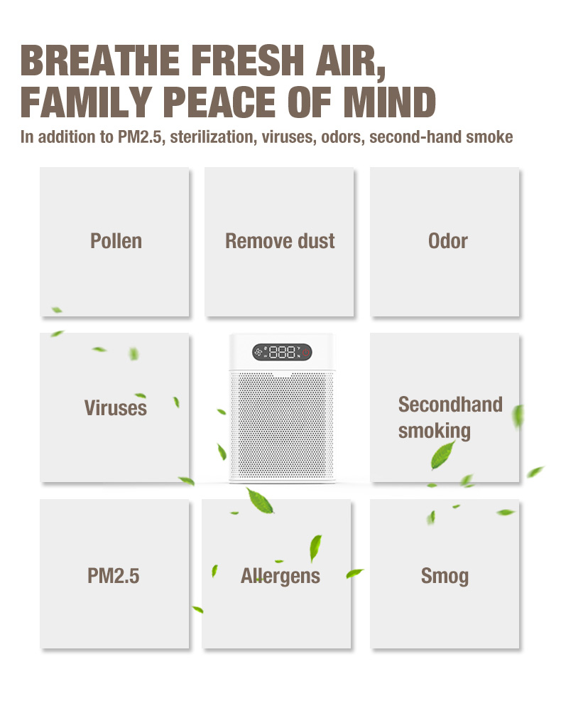 Olansi A1 Luftreiniger Lieferant (6)