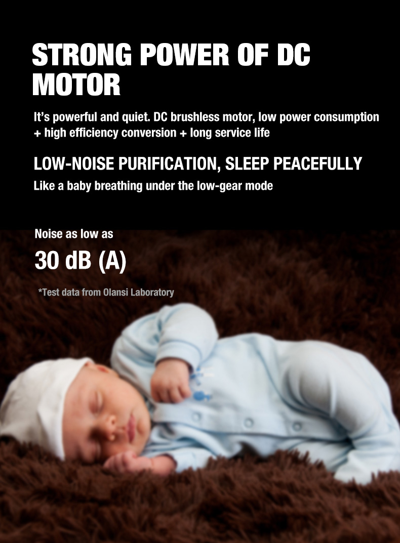 Olansi A1 Luftreiniger Lieferant (9)