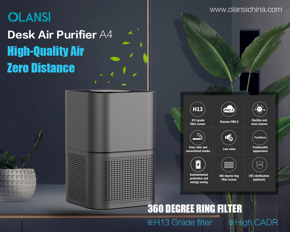 Olansi-Porzellan-Luftreinigerfabrik (3)